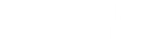 E-BIKE Fat Bike