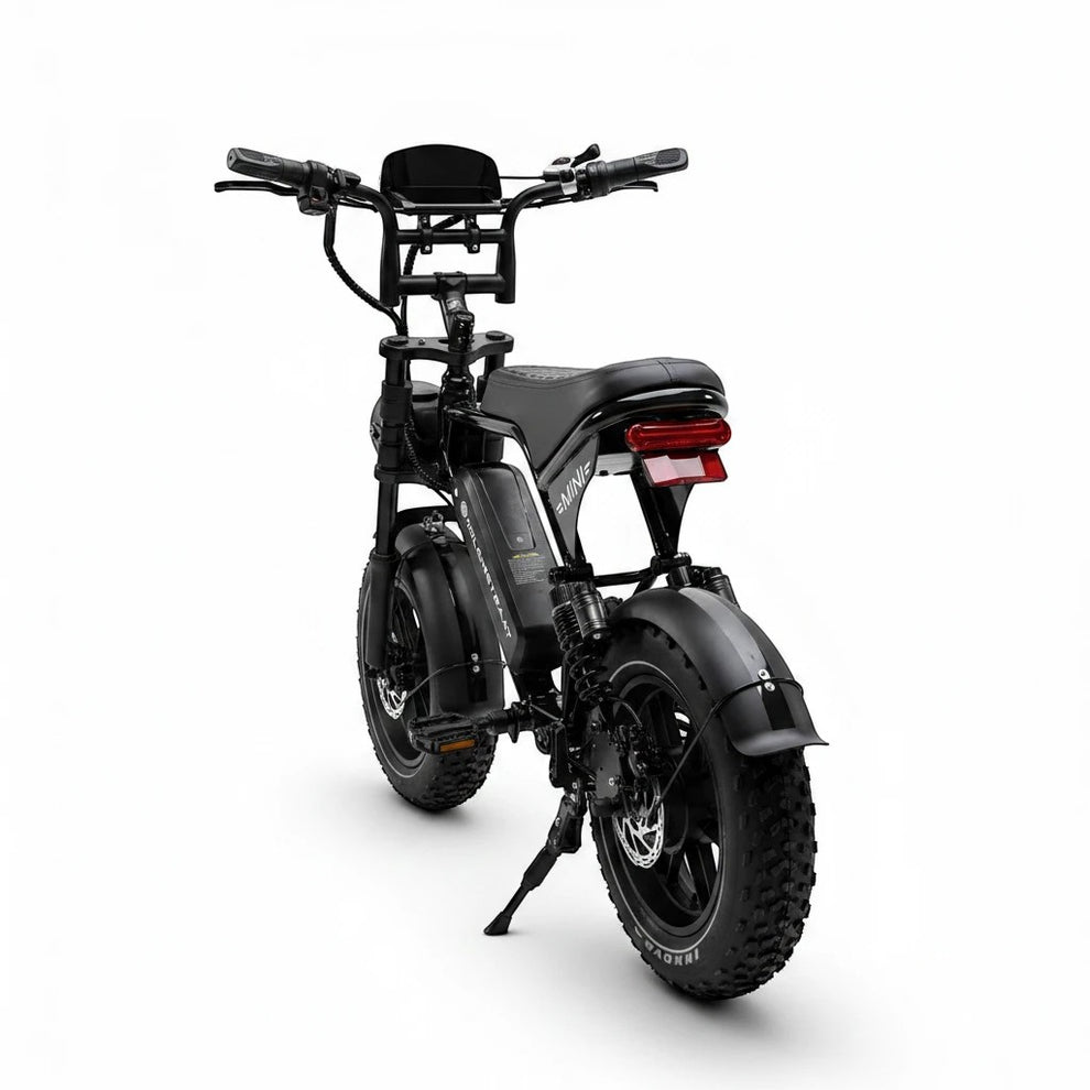 Molenstraat Fatbikes  MINI MS