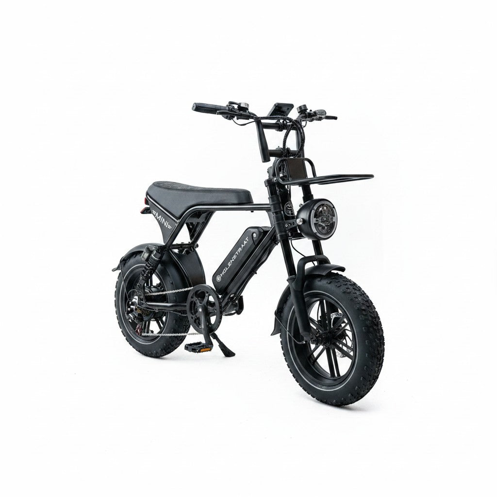 Molenstraat Fatbikes  MINI MS