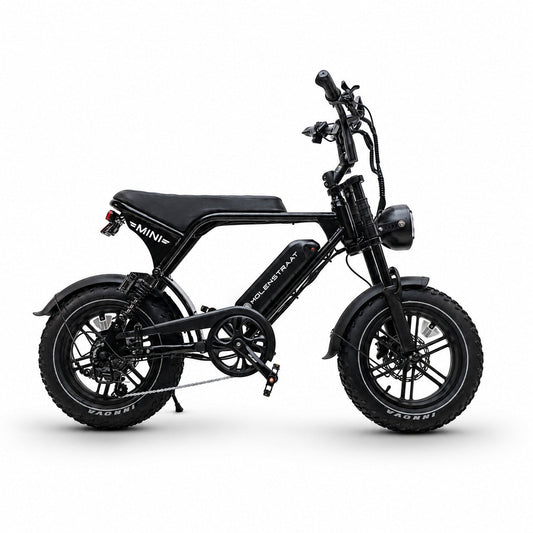 Molenstraat Fatbikes  MINI MS