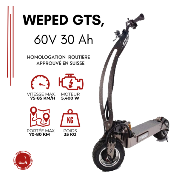 Weped GTS