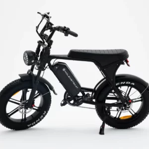 FatBikes